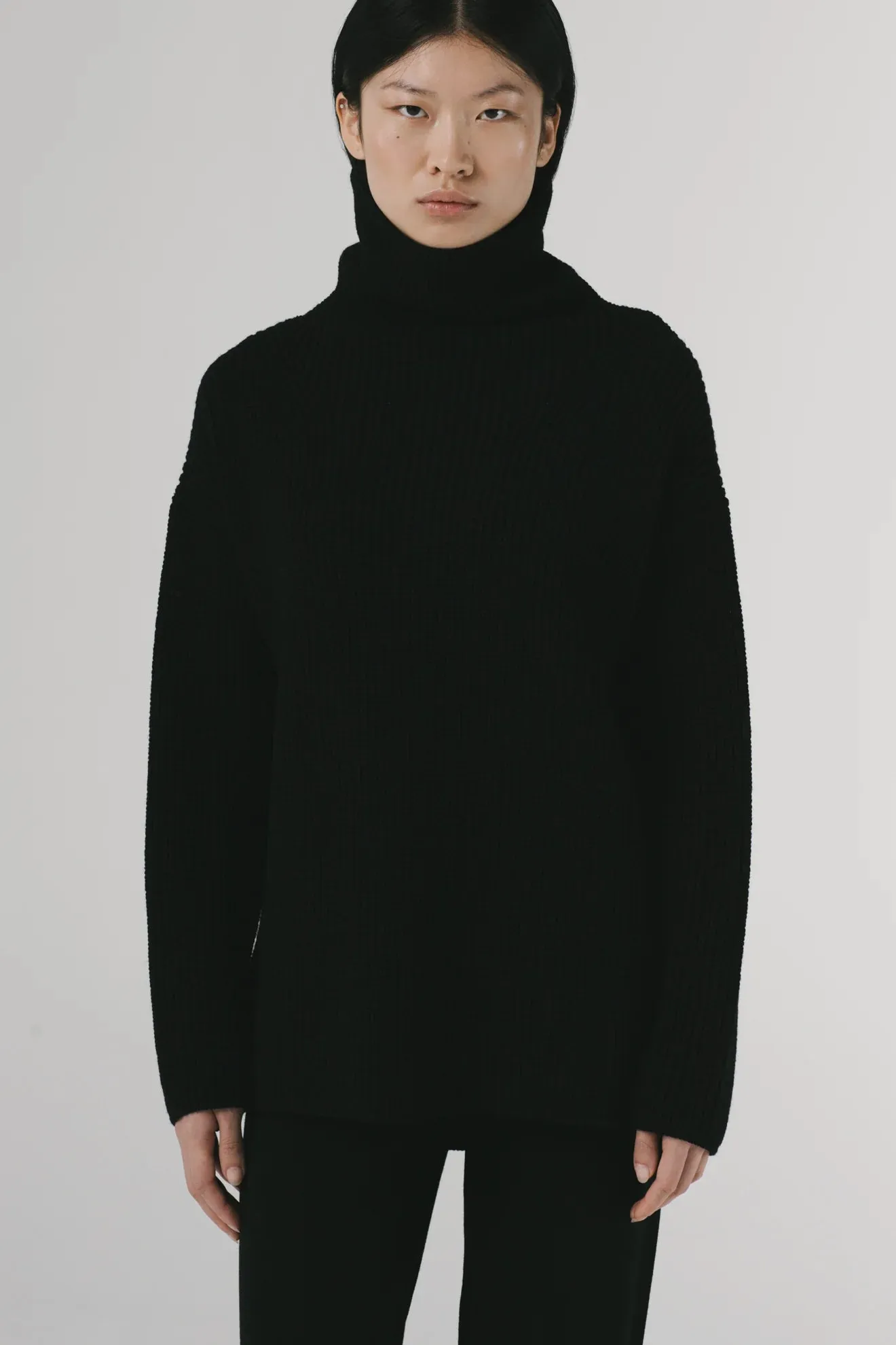 Heavy Turtle Neck Knit Black