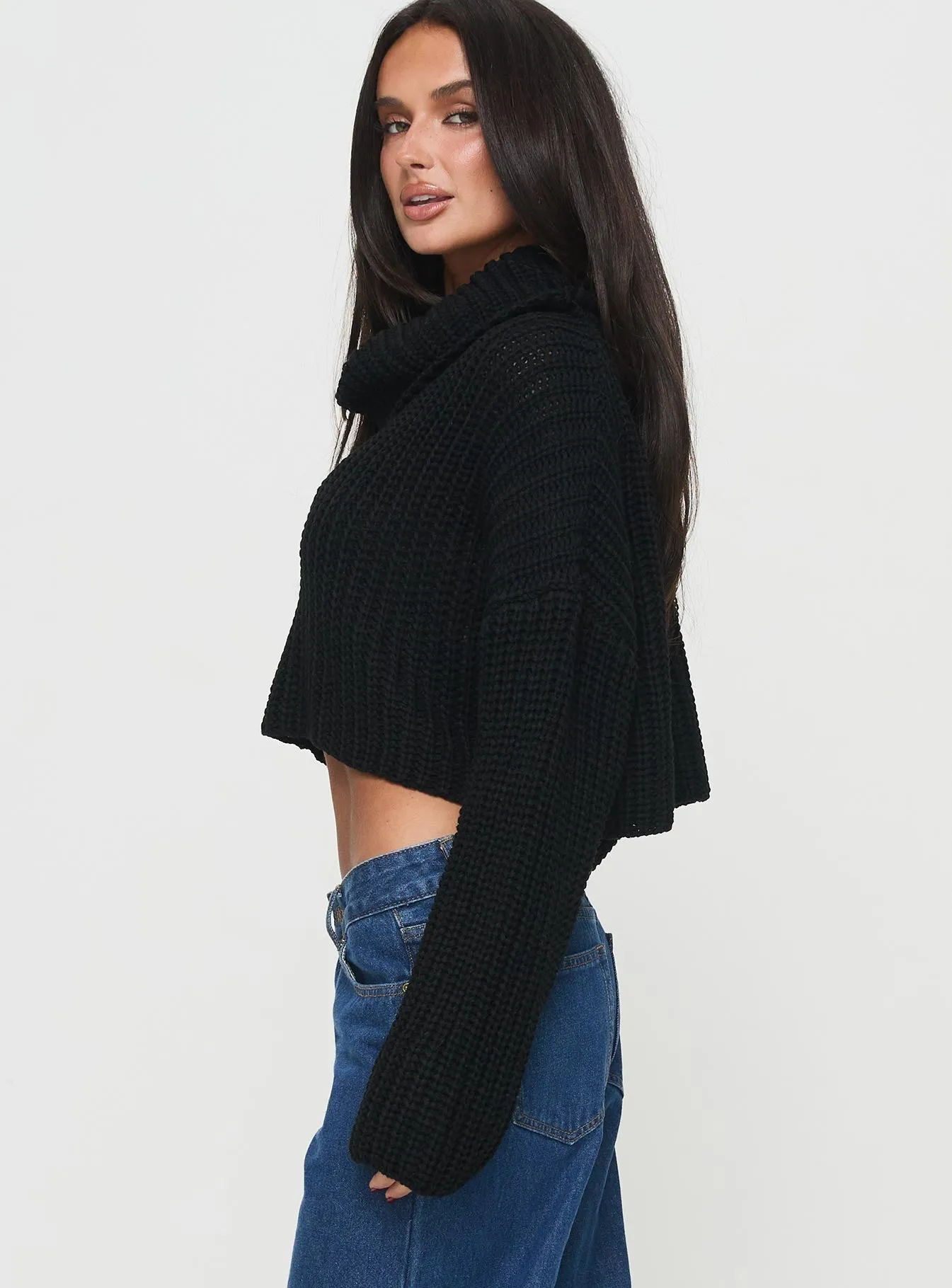 Joice Ribbed Turtleneck Sweater Black