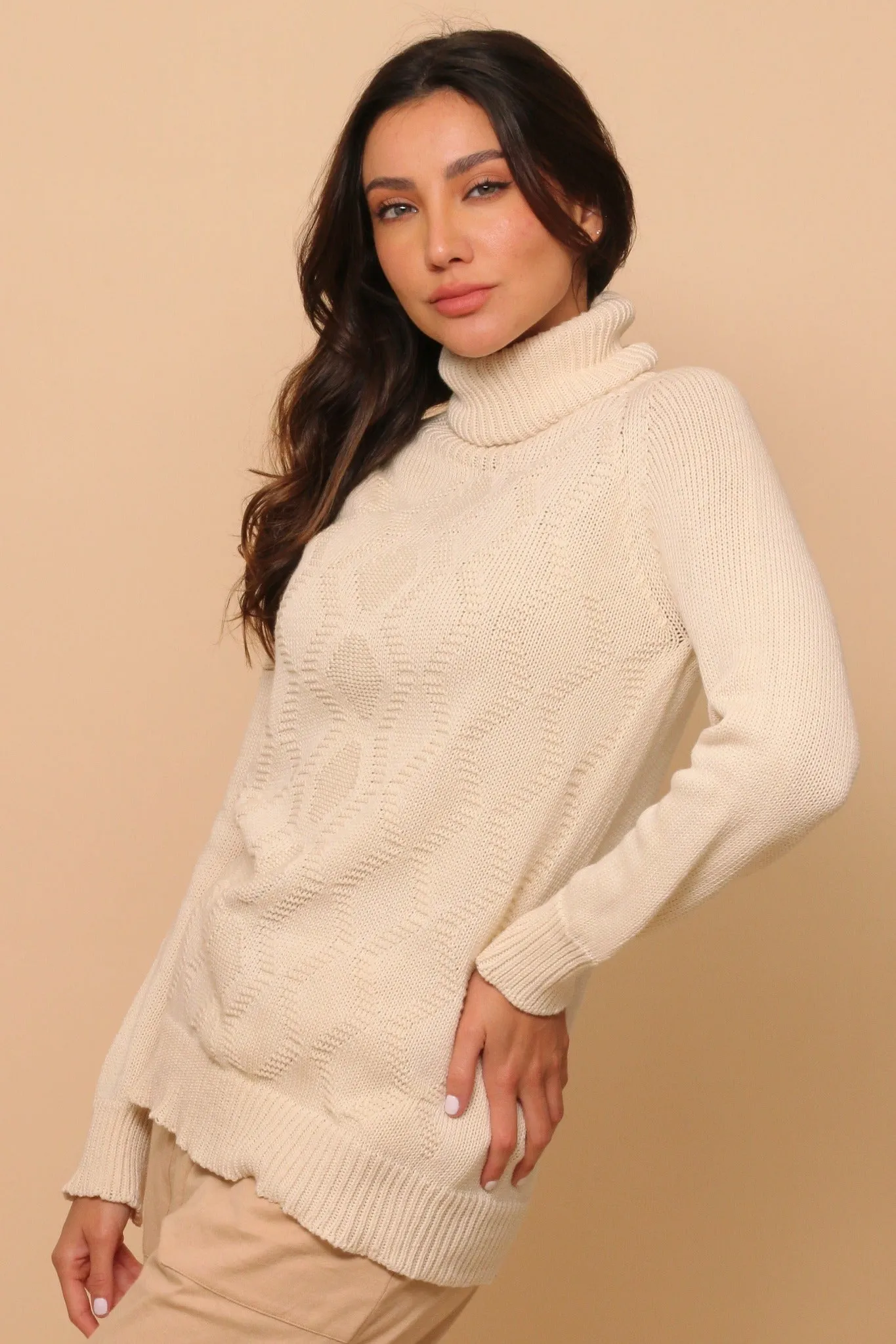 Women's Allergy-Free Knitted Turtleneck Long Sleeve