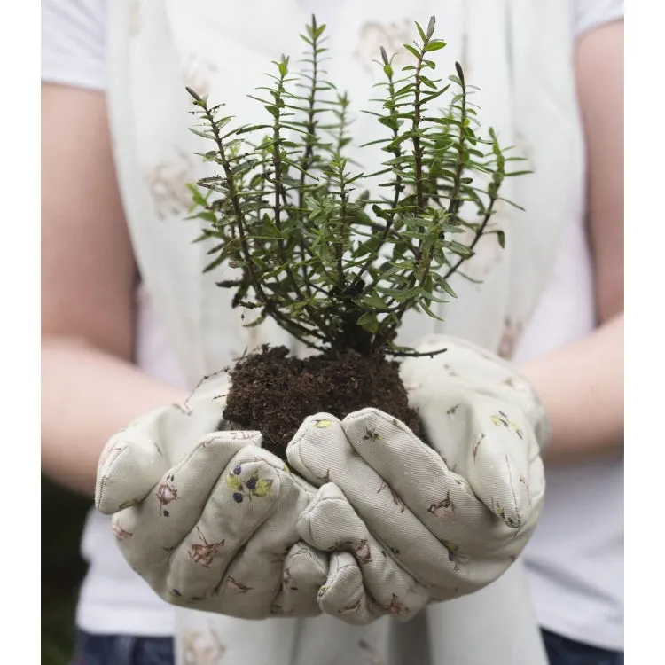 Wrendale Designs Gardening Gloves